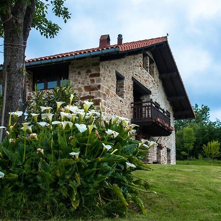 Apartamentos Rurales Larrago Busturia Eksteriør billede